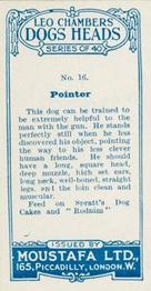1924 Moustafa Leo Chambers Dogs Heads #16 Pointer Back