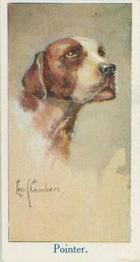 1924 Moustafa Leo Chambers Dogs Heads #16 Pointer Front