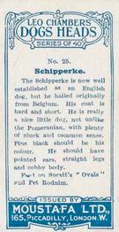 1924 Moustafa Leo Chambers Dogs Heads #25 Schipperke Back