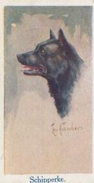 1924 Moustafa Leo Chambers Dogs Heads #25 Schipperke Front