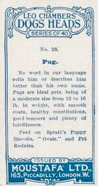 1924 Moustafa Leo Chambers Dogs Heads #28 Pug Back