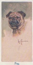 1924 Moustafa Leo Chambers Dogs Heads #28 Pug Front