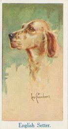 1924 Moustafa Leo Chambers Dogs Heads #29 English Setter Front