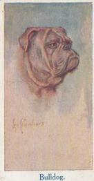 1924 Moustafa Leo Chambers Dogs Heads #32 Bulldog Front