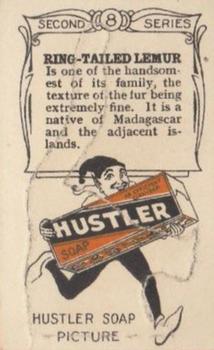 1925 Hustler Soap Animals (Second Series) #8 Ring-tailed Lemur Back