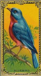 1925 Imperial Tobacco Co. of Canada (ITC) Game Bird Series (C14) #3 The Bluebird Front