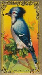 1925 Imperial Tobacco Co of Canada (ITC) Game Bird Series (C14) #4 Blue Jay Front