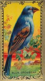 1925 Imperial Tobacco Co. of Canada (ITC) Game Bird Series (C14) #5 Blue Grosbeak Front