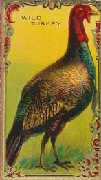 1925 Imperial Tobacco Co of Canada (ITC) Game Bird Series (C14) #12 Wild Turkey Front