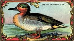 1925 Imperial Tobacco Co of Canada (ITC) Game Bird Series (C14) #20 Green Winged Teal Front