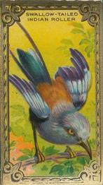 1925 Imperial Tobacco Co. of Canada (ITC) Game Bird Series (C14) #22 The Roller Front