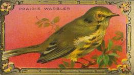 1925 Imperial Tobacco Co of Canada (ITC) Game Bird Series (C14) #25 Prairie Warbler Front