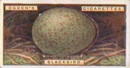 1926 Ogden's British Bird's Eggs (Cut-outs) #1 Blackbird Front