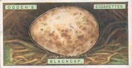 1926 Ogden's British Bird's Eggs (Cut-outs) #2 Blackcap Front