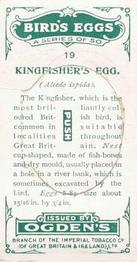 1926 Ogden's British Bird's Eggs (Cut-outs) #19 Kingfisher Back