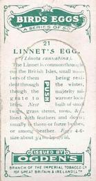 1926 Ogden's British Bird's Eggs (Cut-outs) #21 Linnet Back