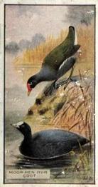 1926 Scottish Co-operative Wholesale Society Feathered Favourites #3 The Coot and Moorhen Front