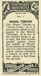 1926 Scottish Co-operative Wholesale Society Feathered Favourites #7 Missel Thrush Back