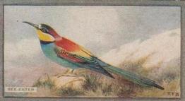 1926 Scottish Co-operative Wholesale Society Feathered Favourites #25 The Bee-eater Front