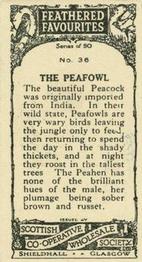 1926 Scottish Co-operative Wholesale Society Feathered Favourites #36 The Peafowl Back