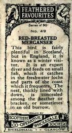 1926 Scottish Co-operative Wholesale Society Feathered Favourites #49 Red-Breasted Merganser Back