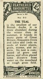 1926 Scottish Co-operative Wholesale Society Feathered Favourites #50 Teal Back