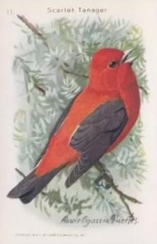 1926 Church & Dwight Useful Birds of America (9th Series) #11 Scarlet Tanager Front