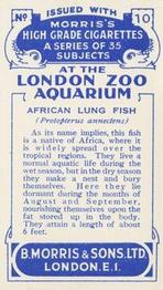 1928 Morris's At the London Zoo Aquarium #10 African Lung Fish Back