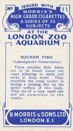 1928 Morris's At the London Zoo Aquarium #11 Sucker Fish Back