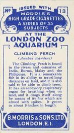 1928 Morris's At the London Zoo Aquarium #13 Climbing Perch Back