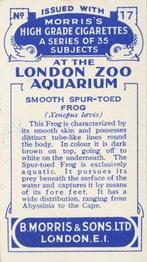 1928 Morris's At the London Zoo Aquarium #17 Smooth Spur-toed Frog Back