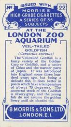 1928 Morris's At the London Zoo Aquarium #22 Veil-tailed Goldfish Back