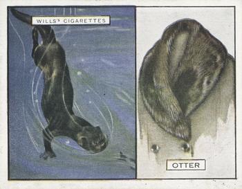 1929 Wills's Animals and Their Furs #17 Sea-Otter Front
