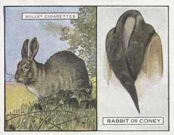 1929 Wills's Animals and Their Furs #18 Rabbit or Coney Front