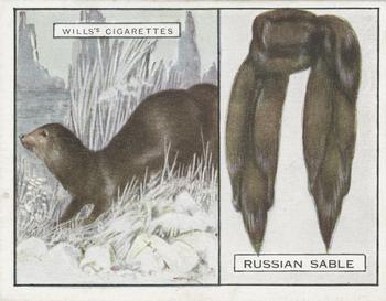1929 Wills's Animals and Their Furs #20 Sable Front