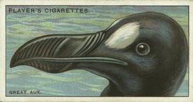 1929 Player's Curious Beaks #1 The Great Auk Front