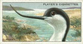 1929 Player's Curious Beaks #2 The Avocet Front