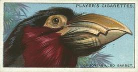 1929 Player's Curious Beaks #3 The Groove-billed Barbet Front