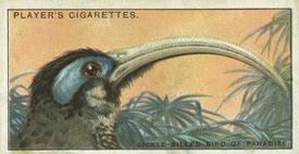 1929 Player's Curious Beaks #4 The Sickle-billed Bird of Paradise Front