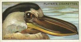 1929 Player's Curious Beaks #5 The Boat-bill Front