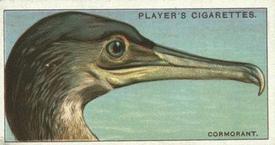1929 Player's Curious Beaks #6 The Cormorant Front