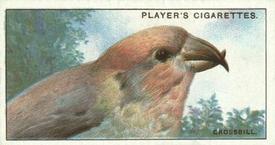 1929 Player's Curious Beaks #7 The Crossbill Front
