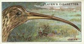 1929 Player's Curious Beaks #8 The Curlew Front
