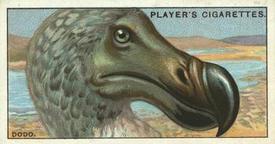 1929 Player's Curious Beaks #9 The Dodo Front