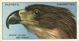 1929 Player's Curious Beaks #11 The White-tailed Sea-Eagle Front