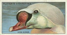 1929 Player's Curious Beaks #12 The King-Eider Front