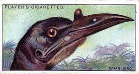 1929 Player's Curious Beaks #14 The Friar-Bird Front