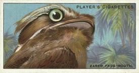 1929 Player's Curious Beaks #16 The Eared Frog-mouth Front
