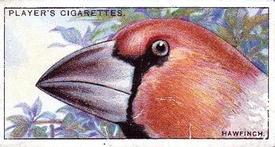 1929 Player's Curious Beaks #20 The Hawfinch Front