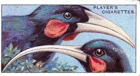 1929 Player's Curious Beaks #25 The Hula Front